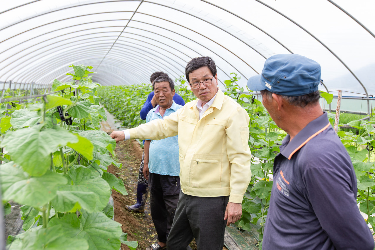 김돈곤 청양군수가 농업피해현장을 찾는 등 점검에 나섰다.©청양군청