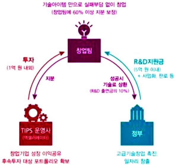 팁스(TIPS) 운영 프로세스./ⓒ천안시