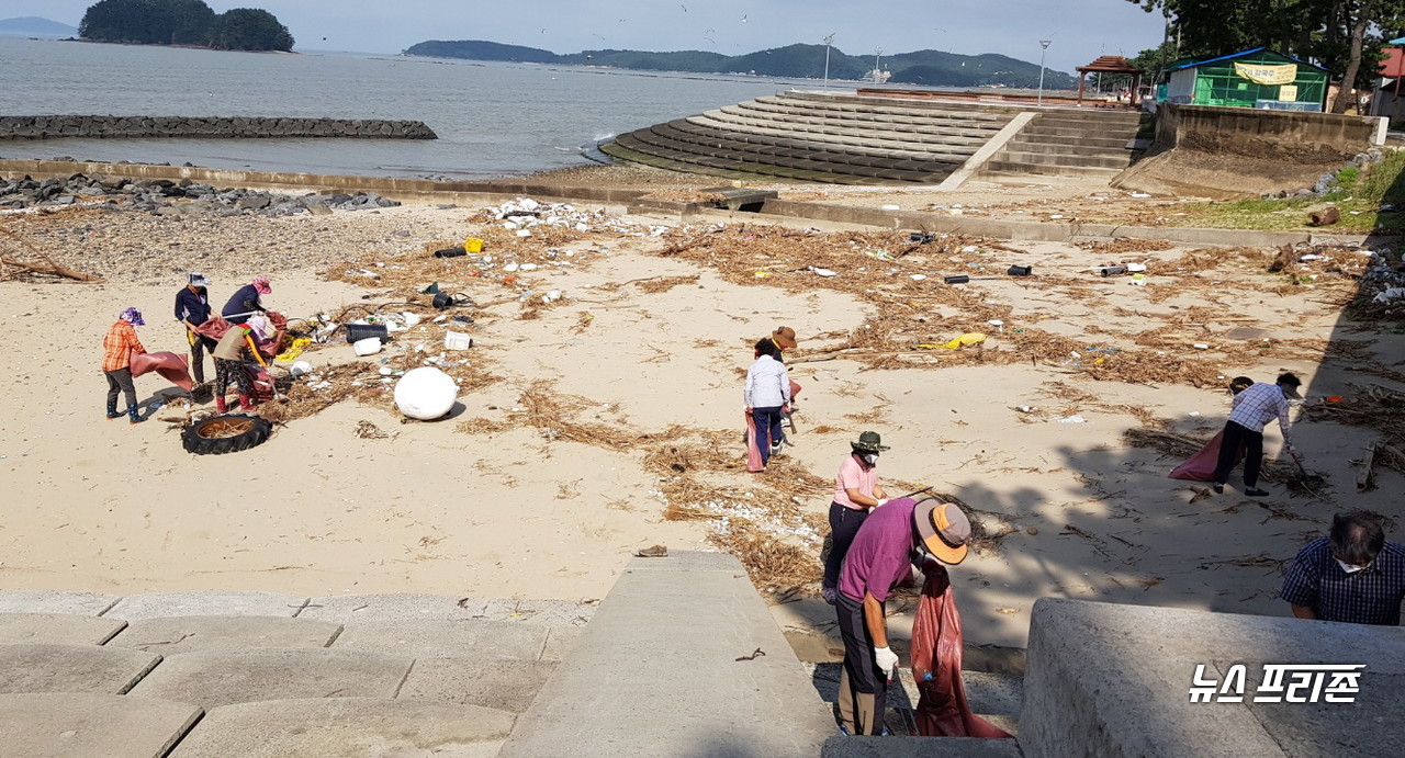 [서천=뉴스프리존]이진영 기자= 13일 충남 서천군 비인면 직원과 희망일자리 참여자 20명이 장마 기간 동안 호우로 인해 선도리 해안가로 떠내려 온 쓰레기들을 수거하며 비지땀을 흘렸다.©서천군청