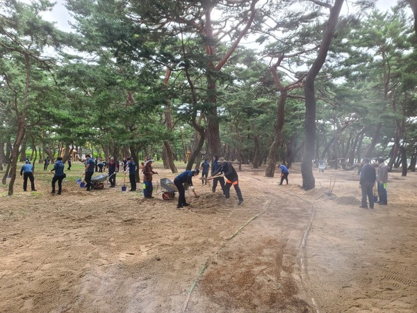 하동군은 최근 집중호우로 침수 피해를 입은 하동송림공원에 대한 복구작업을 마무리하고 15일부터 재개방한다./ⓒ하동군