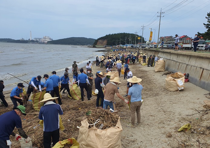 충남 서천군은 서면 남촌 해안가에서 민·관·군이 대대적으로 참여한 가운데 금강 상류에서 떠내려온 쓰레기 수거 작업을 펼쳤다.Ⓒ서천군청