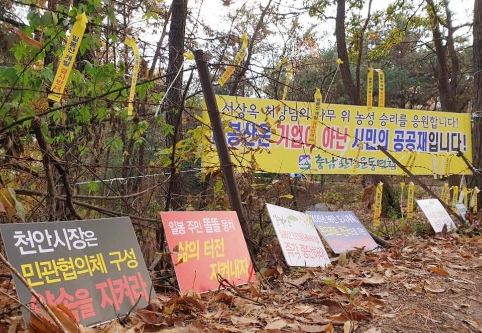 일봉산지킴이시민연대 푯발 시위./ⓒ일봉산지킴이연대SNS