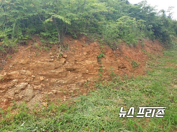 진주시 내동면 이장단협의회장이 지난 24일 불법산림훼손으로 진주시에 적발돼 논란이 되고 있다./ⓒ정병기 기자