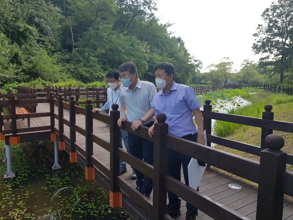 홍인성 인천 중구청장 안골유수지 연꽃단지 현장 시찰/ⓒ중구