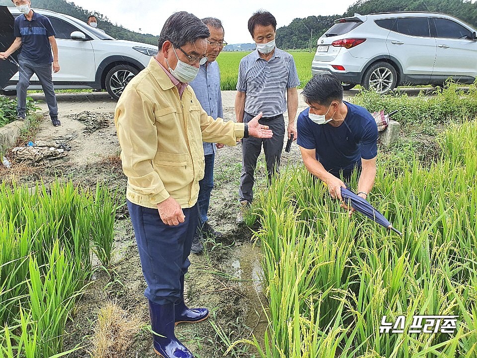 [서천=뉴스프리존]이진영 기자= 31일 노박래 충남 서천군수가 지난 27일 장항원수농공단지에서 발생한 화재로 벼 잎 마름 현상을 보이는 장항읍 원수리와 마서면 당선리의 피해 농경지를 방문, 주민들의 이야기를 청취하고 있다.Ⓒ서천군청