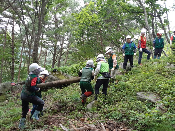 함양군이 코로나19로 인한 고용 위기 속에서도 올해 상반기 도내에서 가장 높은 고용률 상승폭을 기록했다.(함양군청)/ⓒ뉴스프리존 DB