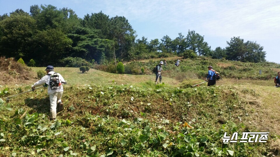 벌초작업 장면.©청양군청