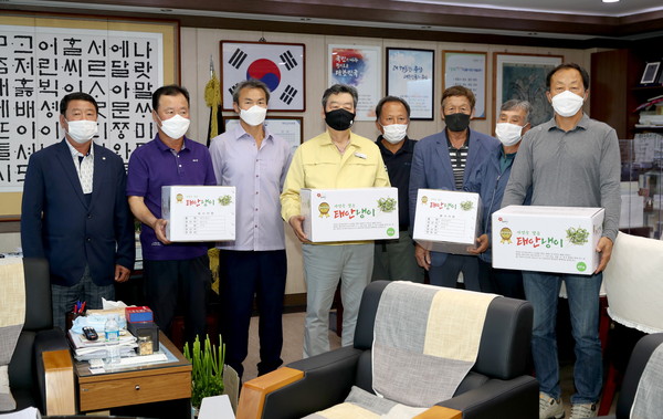 지난 10일 태안군청 군수 집무실에서 가세로 군수가 냉이재배 농민들에게 ‘태안냉이 포장박스’ 를 전달하고 있다./ⓒ태안군청