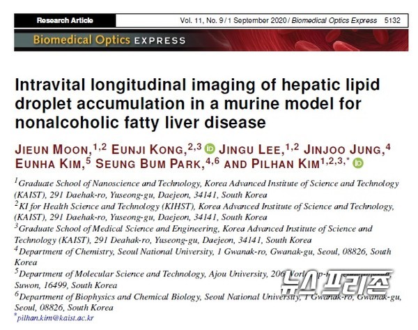 3차원 생체현미경 기술을 통해 비알콜성 지방간에서 간세포 내 지방구 형성과 미세혈관계를 동시에 고해상도의 영상으로 촬영한 카이스트 김필한 교수팀 연구는 미국광학회가 발간하는 국제 학술지 바이오메디컬 옵틱스 익스프레스(Biomedical Optics Express)에 8월 19일 게재됐다./ⓒ이오메디컬 옵틱스 익스프레스·카이스트 김필한 교수팀