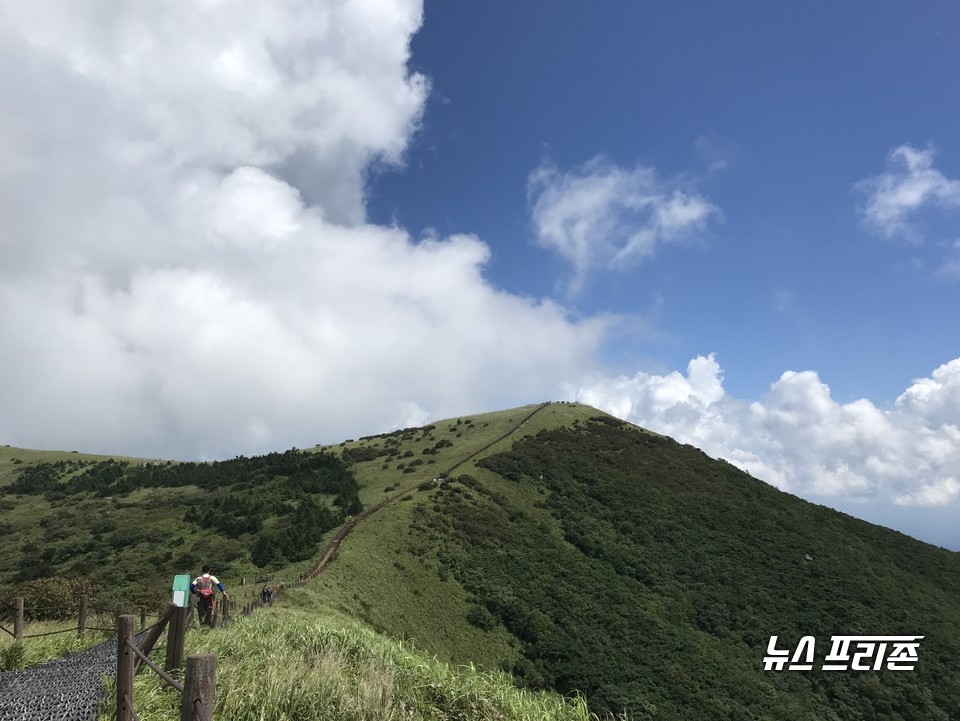 단양 소백산.(사진제공=단양군)