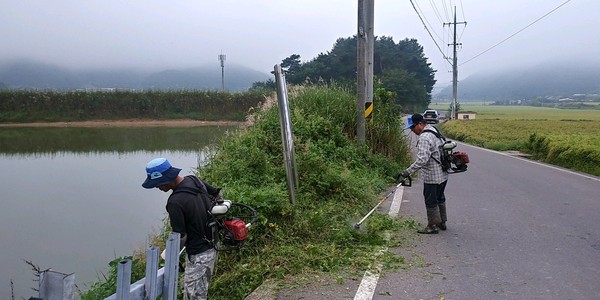 산청군은 지역 내 저수지의 안전관리와 시설물 유지관리를 위해 잡목제거사업을 실시 모습./ⓒ산청군