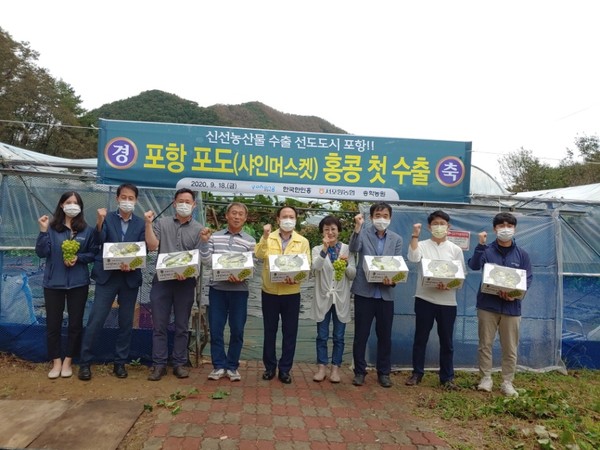 고급 청포도 ‘샤인머스켓’ 최초로 홍콩 수출 상차식을 갖고 있다/Ⓒ포항시