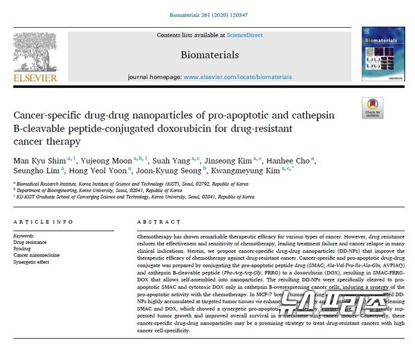 항암제 내성을 극복할 수 있는 암세포 특이적 항암제 전구체 약물을 개발한 한국과학기술연구원(KIST) 연구팀 연구는 국제학술지 바이오매터리얼스(Biomaterials)에 게재됐다./ⓒ바이오매터리얼스·KIST