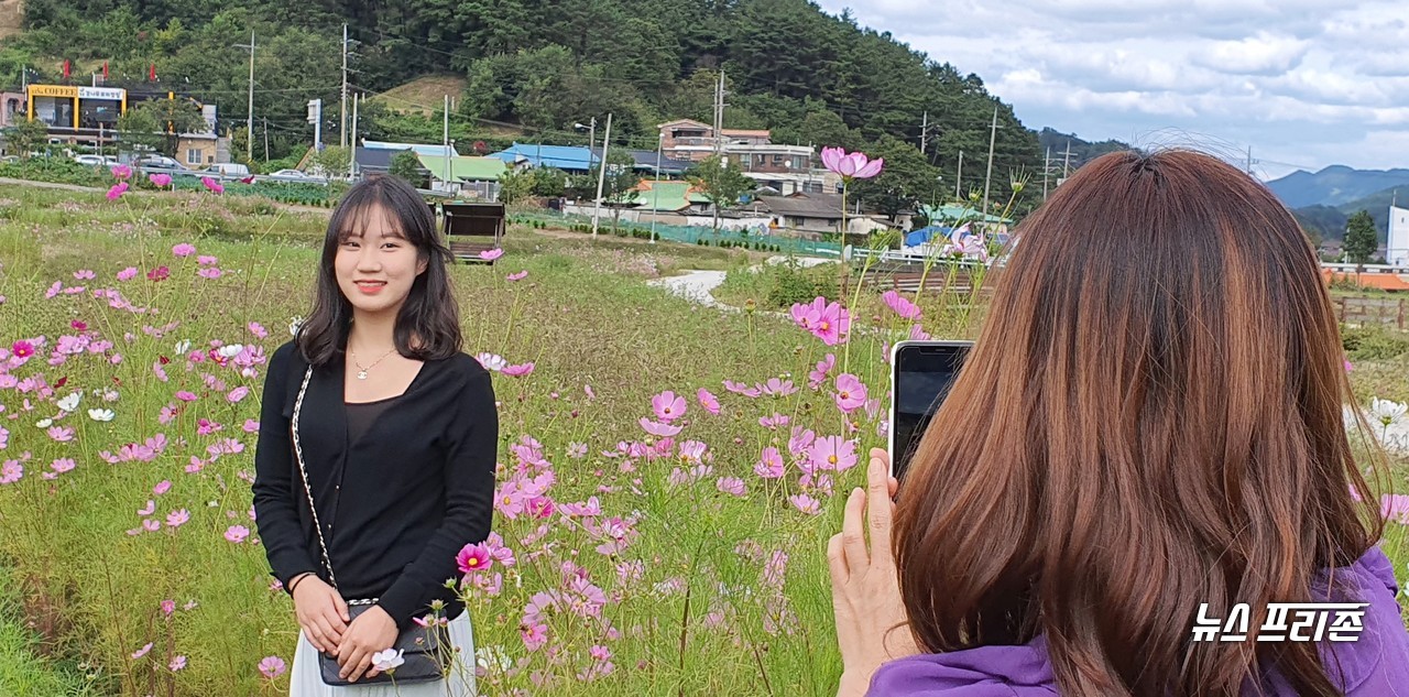 [대전=뉴스프리존] 이현식 기자=대전 천동에 사는 김채원(고2) 학생이 엄마와 함께 대전 대덕구 장동 코스모스 마을을 찾아, 가을을 알리는 코스모스를 배경으로 사진을 찍으며 즐거운 시간을 보내고 있다./ⓒ대전시