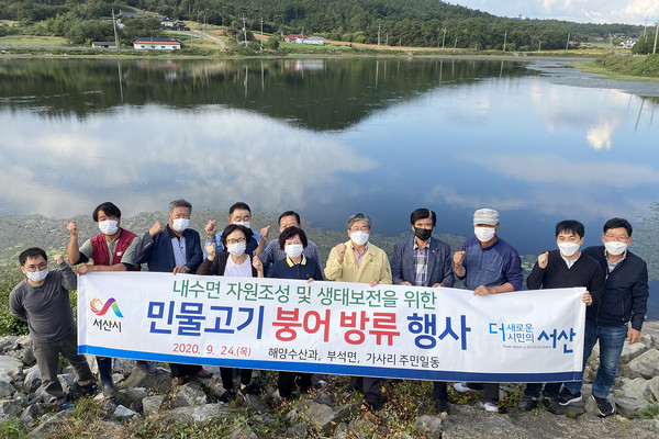 서산시 부석면(면장 김기수)는 24일 부석면 가사리 가사저수지에서 저수지 수리계원 및 지역주민 등 20여명이 참여한 가운데 토종 붕어 치어 1만 5000마리를 방류하는 행사를 가졌다./ⓒ서산시청시에 따르면 이날 행사는 부석면(면장 김기수)이 주관한 가운데 가사저수지 수리계원 및 지역주민 20여 명이 참여했다.