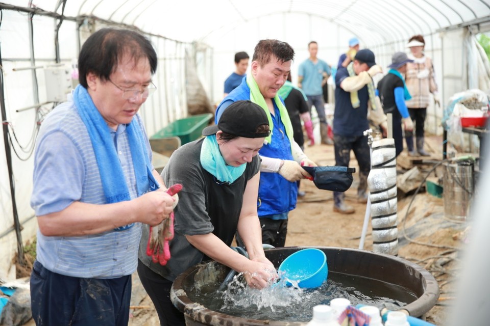 수해복구 봉사활동./ⓒ천안시의회