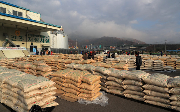 산청군은 2020년산 공공비축미곡 산물벼 1200t을 오는 11월 6일까지 매입한다./ⓒ산청군