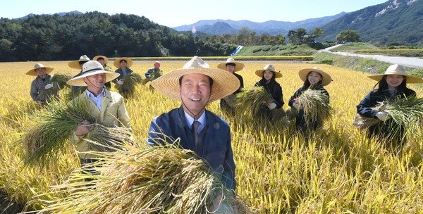 거창군은 거창군의 대표 쌀 브랜드인 ‘밥맛이 거창합니다’가 2020년 경남 우수 브랜드 쌀 평가에서 최고 득점으로 대상을 수상하는 영예를 안았다./ⓒ거창군