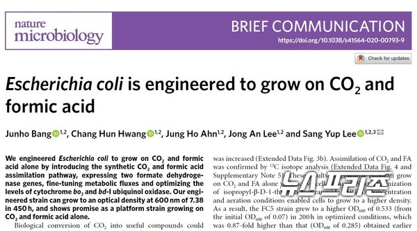 개미산과 이산화탄소만으로 상대적 고농도 배양이 가능한 대장균을 개발한 카이스트 이상엽 특훈교수팀 연구는 국제학술지 네이처 마이크로바이올로지(Nature Microbiology)에 9월 28일 게재됐다./ⓒ네이처 마이크로바이올로지·카이스트 이상엽 특훈교수팀