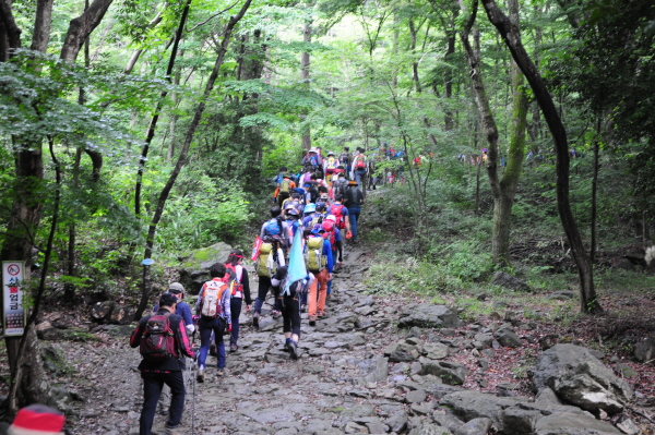 진도군, 첨찰산 ‘걷고 싶은 전남 숲길’ 최우수상 수상/Ⓒ진도군청