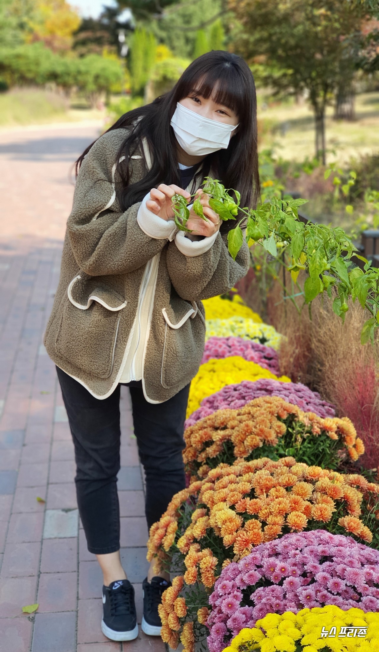 대전 유성구 노은동에서 온 서한솔씨(여)가 국화전시회가 한창인 유림공원을 찾아 알록달록 화려하게 꽃이 핀 국화를 배경으로 인생사진을 담고 있다./ⓒ이현식 기자