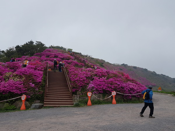 의령 주요 등산로 모습.(한우산)/ⓒ의령군