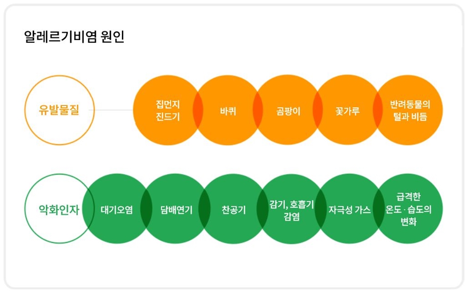 대전시가 가을철 대표 알레르기 질환인 알레르기비염 예방관리를 위한 시민 건강수칙 준수를 당부했다. 자료는 알레르기비염 원인./ⓒ대전시