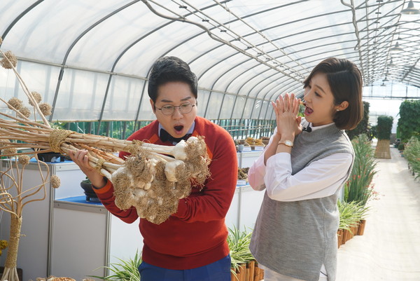 진주시는 진주종합경기장 전면광장에서 개최예정이었던 토종농산물 종자전시회를 11월 2일부터 30일까지 온라인 전시로 선보인다./ⓒ진주시