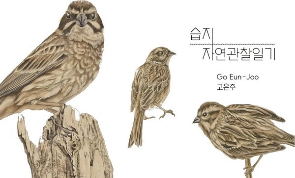 고은주 작가의 비보습지공원 서식 동물 세밀화(포스터) ⓒ화성시문화재단