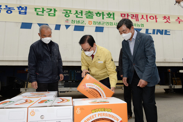 6일 부곡단감조합 선별장에서 단감 수출 선적식에 참석한 한정우 창녕군수가 단감선별 작업 및 하역 작업을 지켜보고 있다./ⓒ창녕군