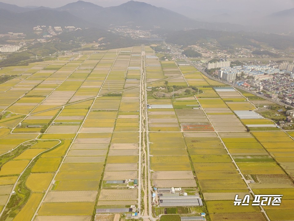 의림지뜰 전경.(사진제공=제천시)