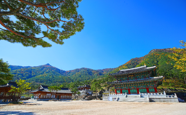 산청 동의보감촌 동의전 필봉산 왕산 단풍./ⓒ산청군