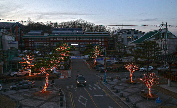 산청군은 3일 연말연시를 맞아 군청 앞 한마음 공원에 LED경관조명을 설치해 운영한다.(산청군청앞 LED경관조명 모습)/ⓒ산청군