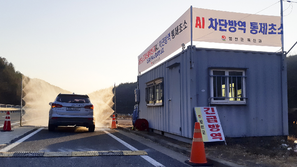 합천군은 지난 2일 경북 상주시 소재 산란계 농장에서 고병원성 조류인플루엔자(H5N8)가 발생함에 따라 전염병의 군내 유입 방지를 위해 긴급방역에 총력을 기울이고 있다./ⓒ합천군