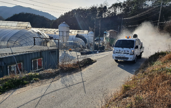 함양군은 최근 인근 시군에서 AI가 연이어 발생함에 따라 24시간 코로나와 함께 AI 차단방역에 총력을 기울이고 있다./ⓒ함양군