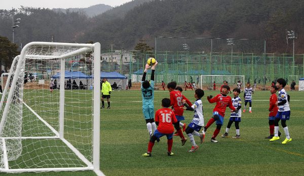 제5회 산청군수배 전국유소년 축구대회.(산청 생초 축구장)/ⓒ산청군