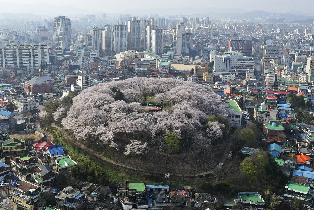 대전시, 2020년 대전관광사진 전국공모전 입상작 시상 동상 박호준 테미공원./ⓒ대전시