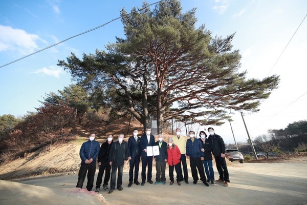 ‘예천 수한리 소나무 문화재 지정서'를 소유자에게 전달하고 기념촬영을 하고 있다/Ⓒ예천군