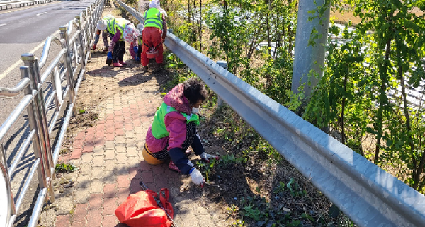 함안군은‘코로나19 극복 희망일자리 사업’이 군민들로부터 다방면으로 호평을 받고 있다./ⓒ함안군