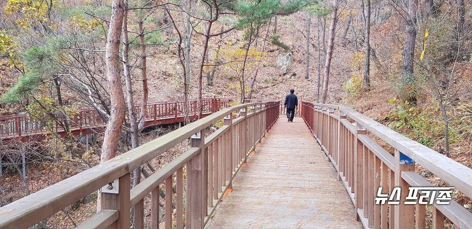 충남 내포사색길이 도민의 심신 단련과 활력 재충전을 위한 명소로 재탄생했다./ⓒ충남도청