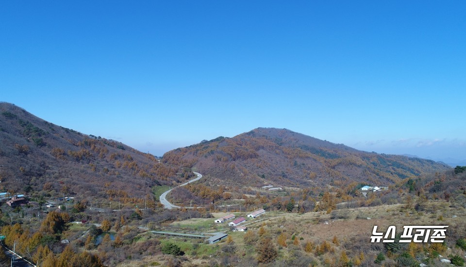 대강면 울산리 사업대상지 전경.(사진제공=단양군)