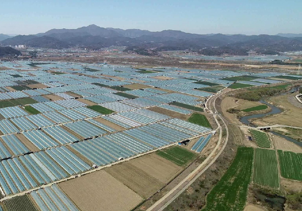 함안군은 농촌진흥청에서 주관하는 2020년 우수 농업기술센터 평가에서 최우수상을 수상했다./ⓒ함안군