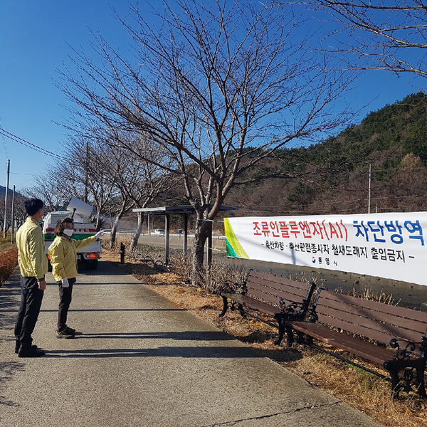 통영시는 고병원성 조류인플루엔자(AI) 유입 방지에 총력 대응하고 있다./ⓒ통영시