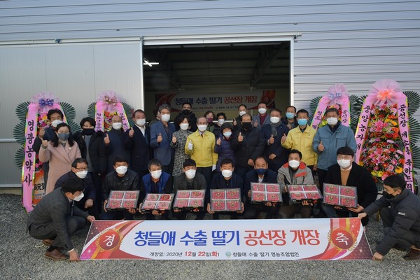 청들애 수출딸기 공선장 개장식/Ⓒ청도군