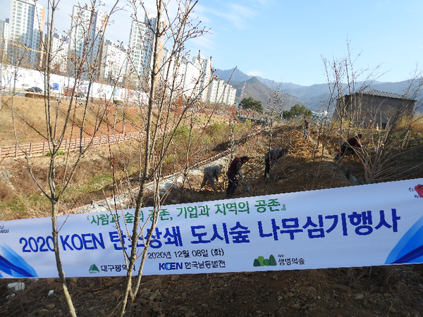 한국남동발전, 2020 KOEN 탄소상쇄 도시숲 조성./ⓒ한국남동발전​