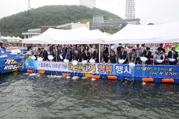 통합창원시 10주년 기념 어린고기 방류/ⓒ창원시