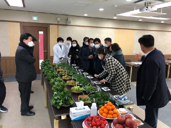 남해군은‘보물초’ 특유의 고당도를 홍보하고 일선 농가와 유통업자에게 여러 품종에 관한 정확한 정보를 제공하기 위해‘보물초 품종 비교 평가회’를 개최했다./ⓒ남해군