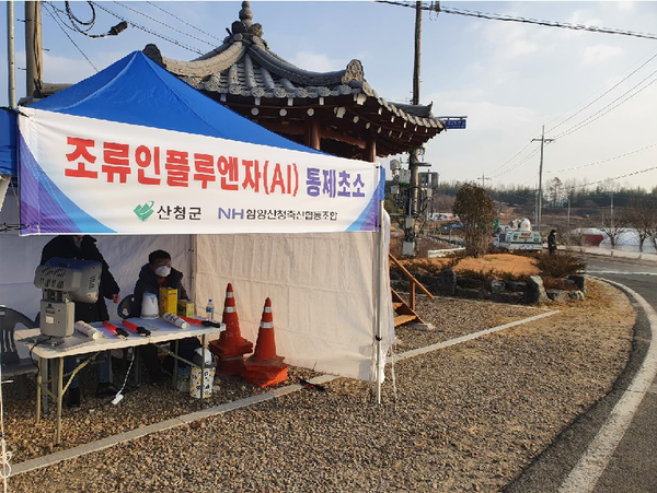 산청군은 인근 진주시 수곡면 육용오리농가에서 고병원성 AI가 발생함에 따라 통제초소를 설치, 차단방역 강화에 나선다.(산청군 단성면 관정리 AI 통제초소 )/ⓒ산청군