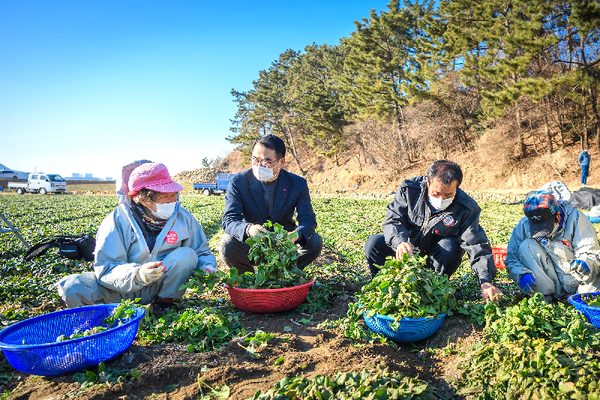 ⓒ남해군