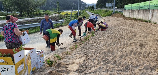 의령군은 마을공동체 회복, 마을경관 개선 등을 위해 마을 주민이 주도적으로 사업을 구상하고 추진하는 ‘창조적 마을가꾸기’사업을 추진한다./ⓒ의령군